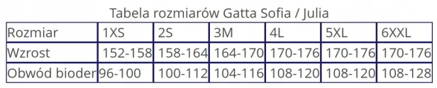 Rajstopy gładkie Gatta Julia 15den szary Grafit rozmiar 2