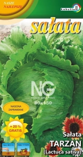 Sałata LODOWA nasiona 1 g