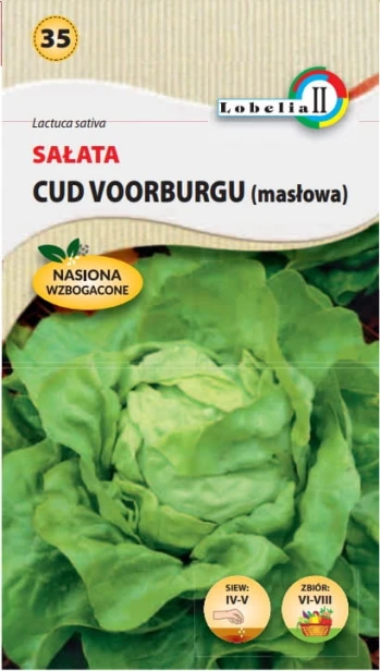 Sałata masłowa nasiona 1 g