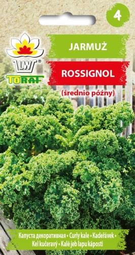 JARMUŻ ROSSIGNOL NASIONA WARZYW 1g ŚREDNIOPÓŹNY nasiona 1 g