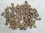 Keramzyt 8 l Hydrouprawa