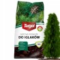 TARGET ZIEMIA GOTOWE PODŁOŻE DO IGLAKÓW 50L