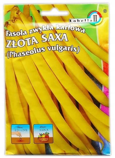 Nasiona fasoli Lobelia Złota Saxa 50 g