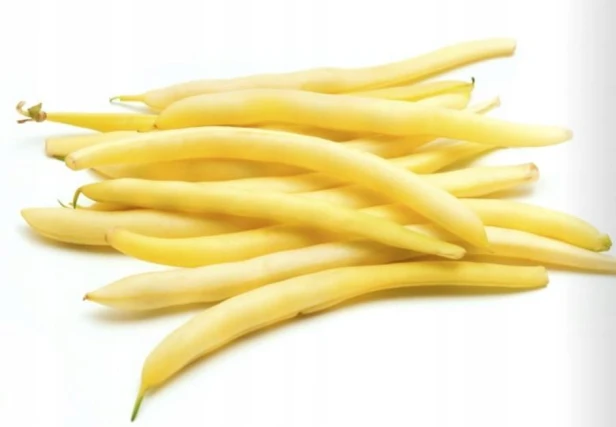Nasiona fasoli Lobelia Złota Saxa 50 g