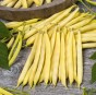 Nasiona fasoli Lobelia Złota Saxa 50 g