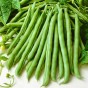 Fasola szparagowa Bona 50 g (zielona)