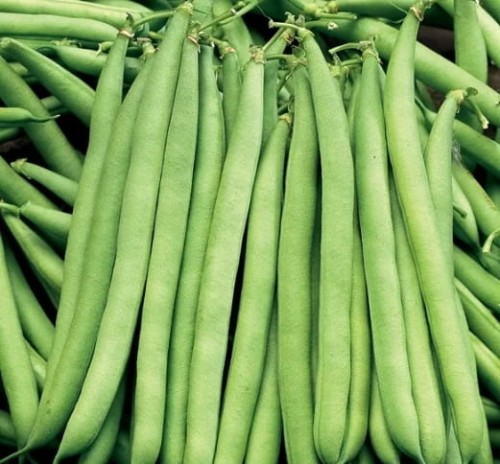 Fasola szparagowa Bona 50 g (zielona)