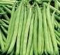 Fasola szparagowa Bona 50 g (zielona)
