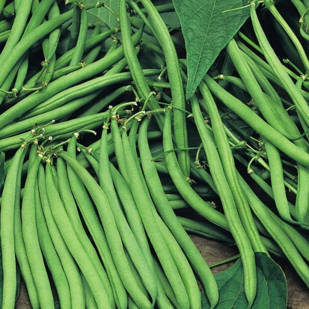 Fasola szparagowa Bona 50 g (zielona)