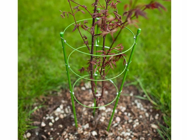 Podpórki do roślin metal 60 cm 1 szt.