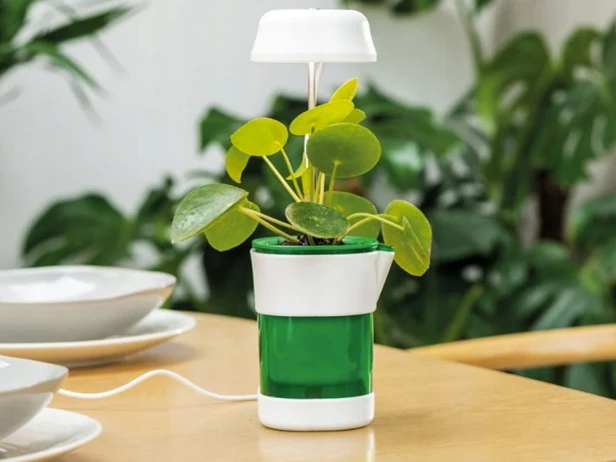 Panel led CFL do uprawy roślin Verk Group 10 W