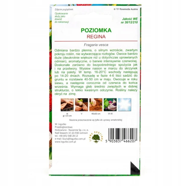 POZIOMKA WIELKOOWOCOWA REGINA 0,1g nasiona