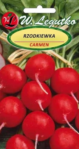 Rzodkwie i rzodkiewki Carmen nasiona 10 g