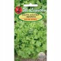 Sałata Salad Bowl nasiona 1 g