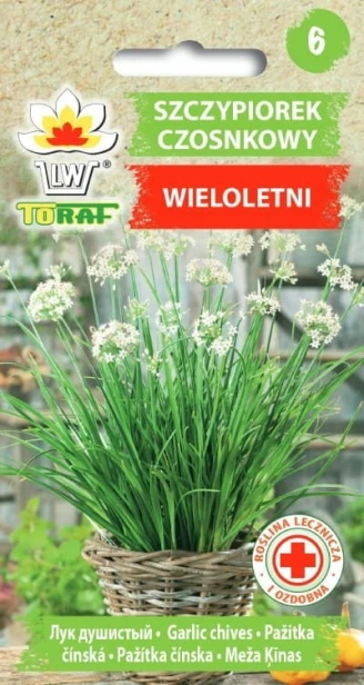 Nasiona W. Legutko szczypiorek czosnkowy 1 g