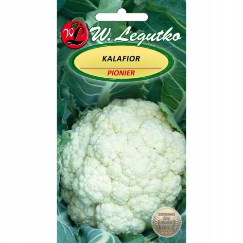 Nasiona Legutko kalafior pionier 1 g