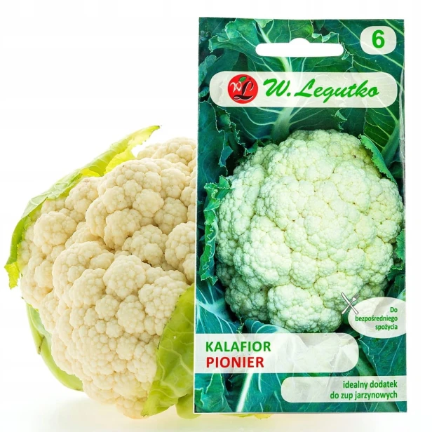 Nasiona Legutko kalafior pionier 1 g