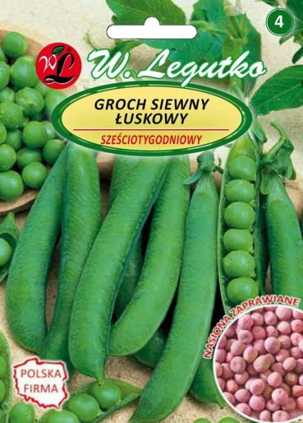 Nasiona grochu Legutko sześciotygodniowego 40 g