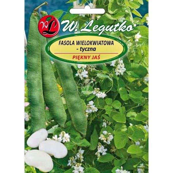 Fasola JAŚ nasiona 40 g