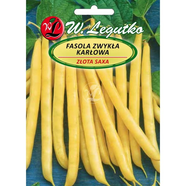 Nasiona Fasola ZŁOTA SAXA Szparaga Karłowa BEZ WŁÓKIEN 40g