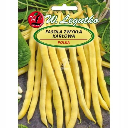 Nasiona fasola Polka 40 g
