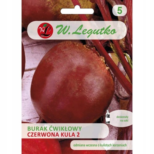BURAK ćwikłowy CZERWONA KULA 2 nasiona 20g W. Legutko