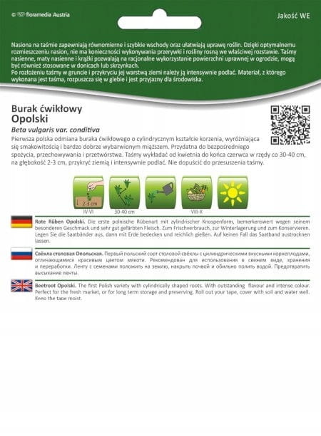 Nasiona buraka ćwikłowego W. Legutko Opolski 6 m