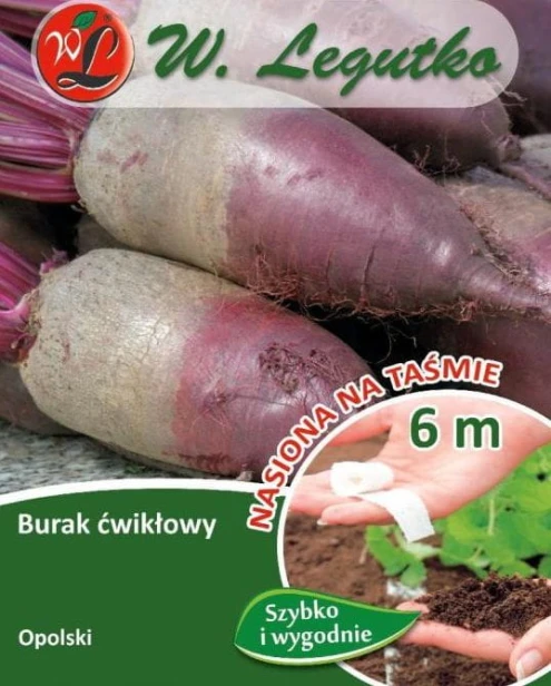 Nasiona buraka ćwikłowego W. Legutko Opolski 6 m