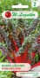 BURAK LIŚCIOWY - RHUBARB CHARD nasiona 5 g