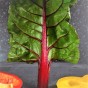 BURAK LIŚCIOWY - RHUBARB CHARD nasiona 5 g