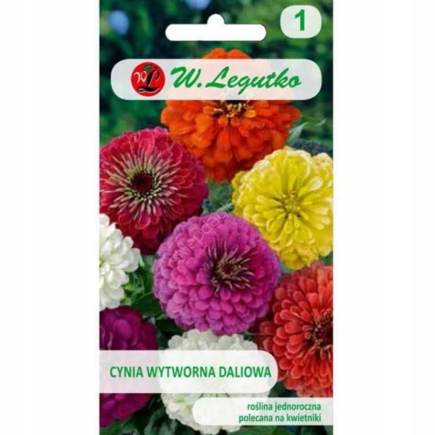 CYNIA WYTWORNA DALIOWA MIESZANKA NASIONA 1,5g LEGUTKO