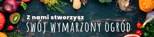 Nasiona Dziwaczek - mieszanka 2 g
