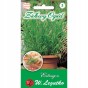 Nasiona estragon Verte deCambrai 0,1 g