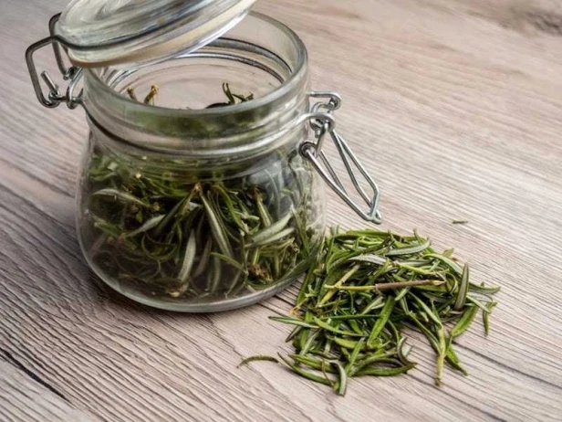 Nasiona estragon Verte deCambrai 0,1 g