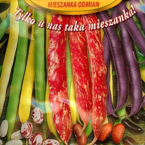 Nasiona fasoli W. Legutko kolorowa mieszanka 40 g