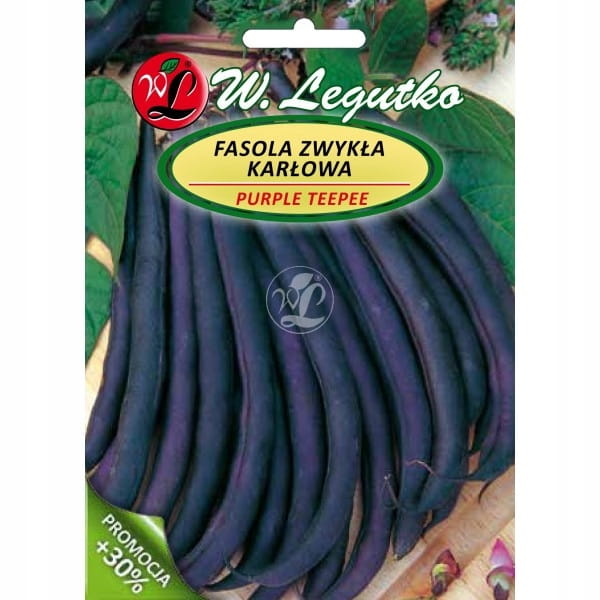 Fasola purple teepee nasiona 40 g