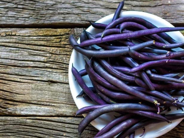 Fasola purple teepee nasiona 40 g