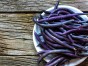 Fasola purple teepee nasiona 40 g