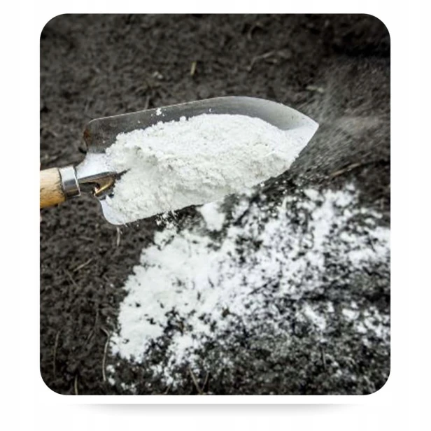 Nawóz dolomit Biovita proszek 10 kg