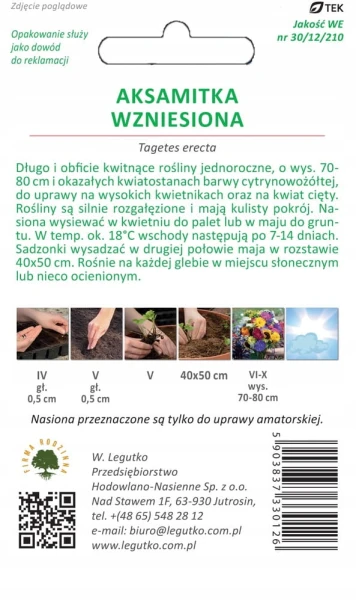 AKSAMITKA wzniesiona cytrynowożółta 1g LEGUTKO
