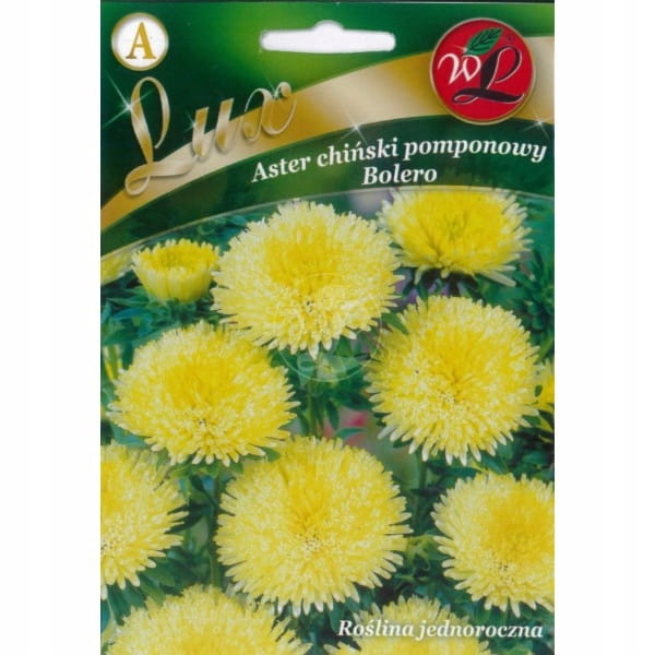 Aster chiński Liliput Hi-no-Maru Legutko 0,3g
