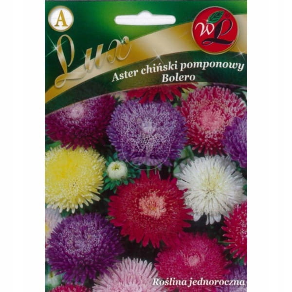 Aster chiński Liliput Hi-no-Maru Legutko 0,3g