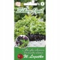 Nasiona bazylia OCIMUM BASILICUM 0,5 g