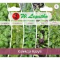 Nasiona bazylia OCIMUM BASILICUM 0,5 g
