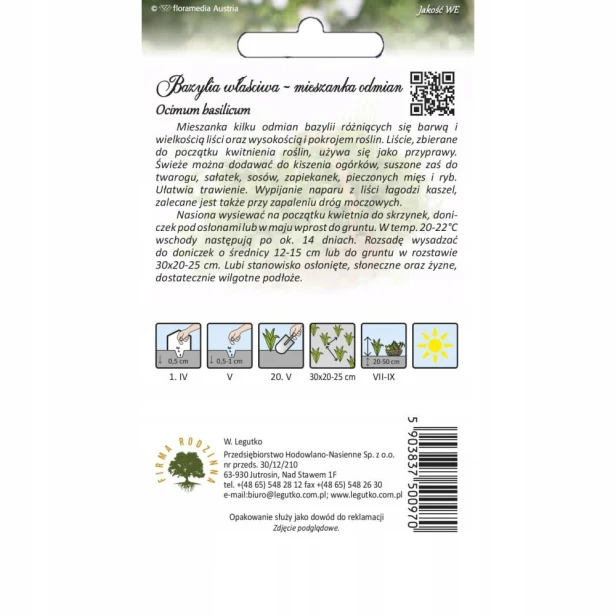 Nasiona bazylia OCIMUM BASILICUM 0,5 g