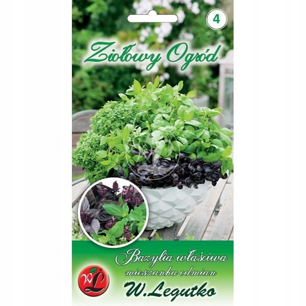 Nasiona bazylia OCIMUM BASILICUM 0,5 g