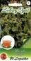 Nasiona bazylia OCIMUM BASILICUM 0,5 g
