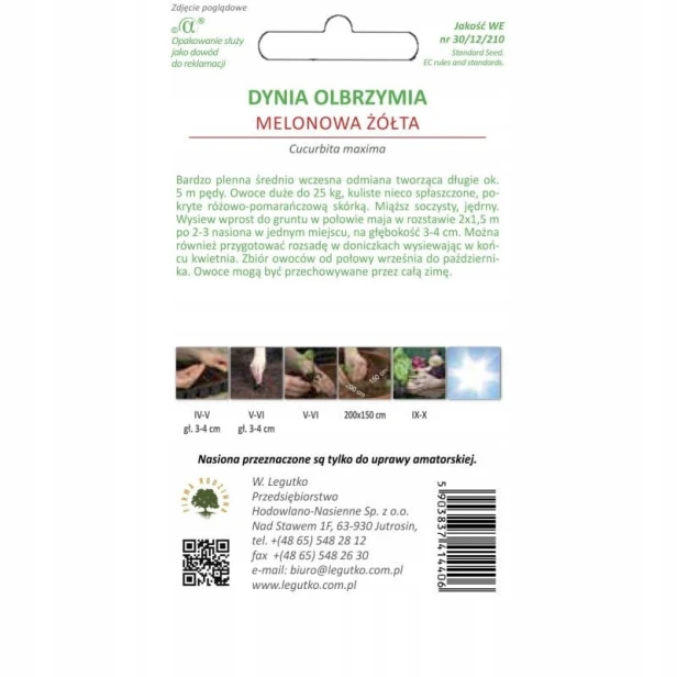 Dynia olbrzymia melonowa żółta Legutko 3 g