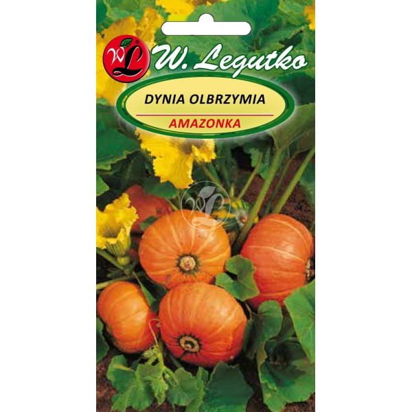 Dynia olbrzymia melonowa żółta Legutko 3 g