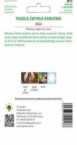 FASOLA SZPARAGOWA karłowa zielona JAGA 40g nasion W. Legutko
